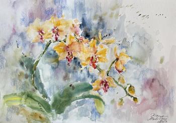 Ƹ���� �������. �������� �����