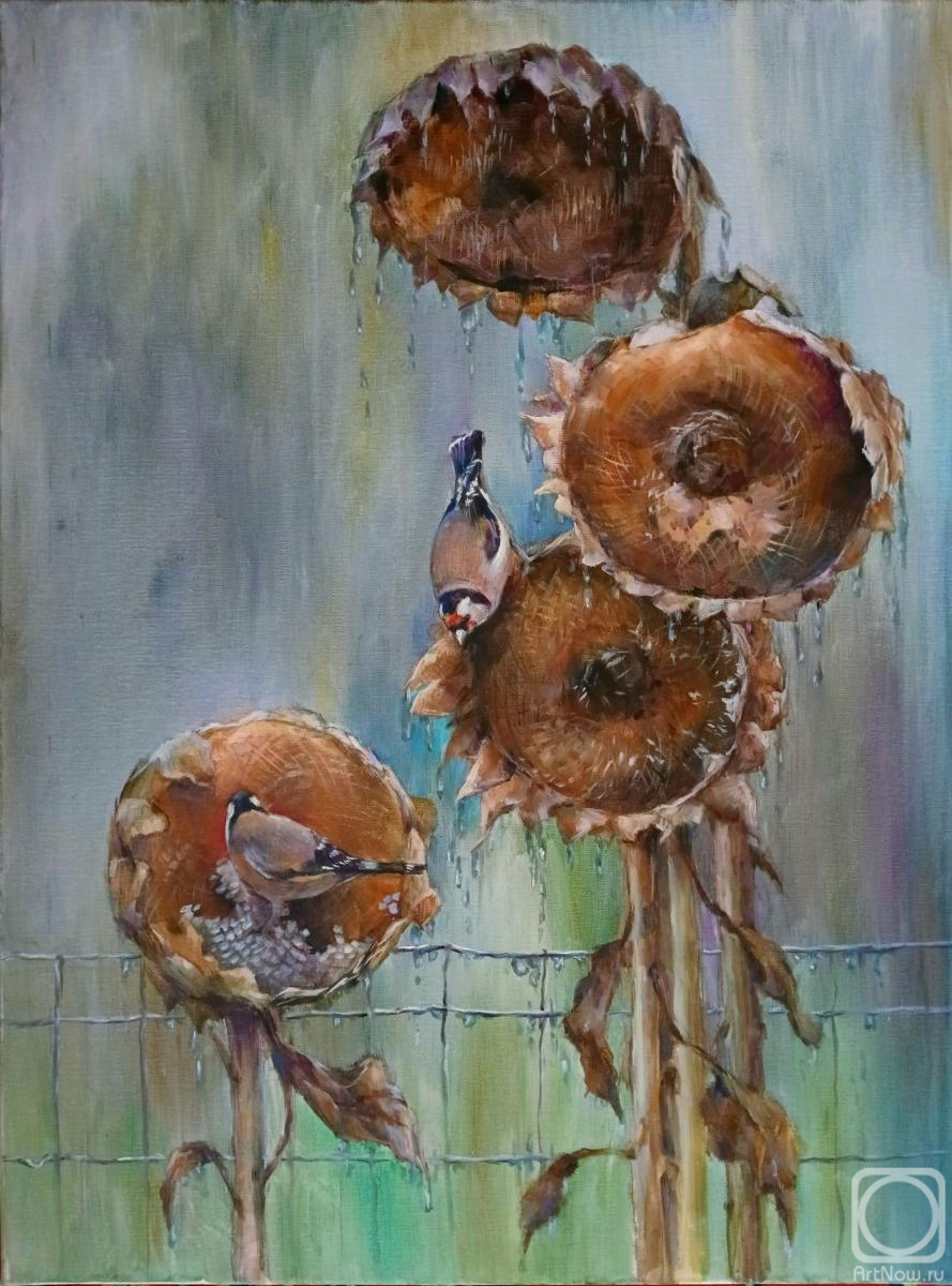 ������� ������ �� ������. ������ ������. ������