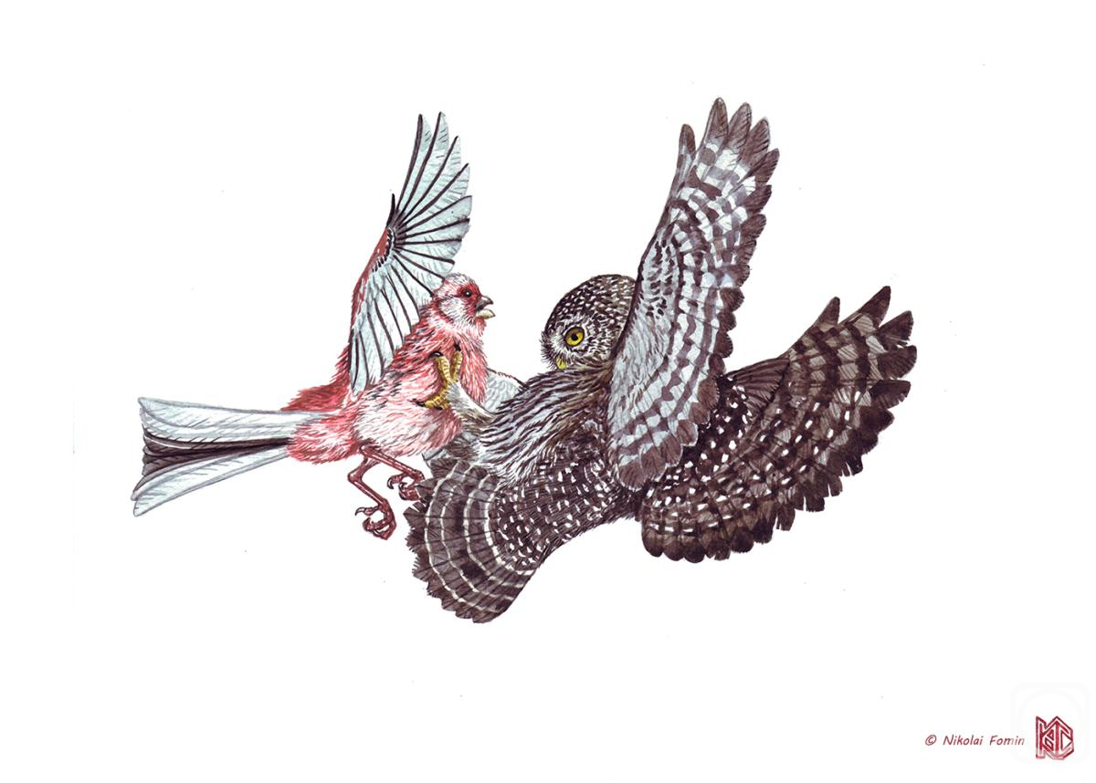 Fomin Nikolay. The Siberian long-tailed rosefinch and pygmy owl