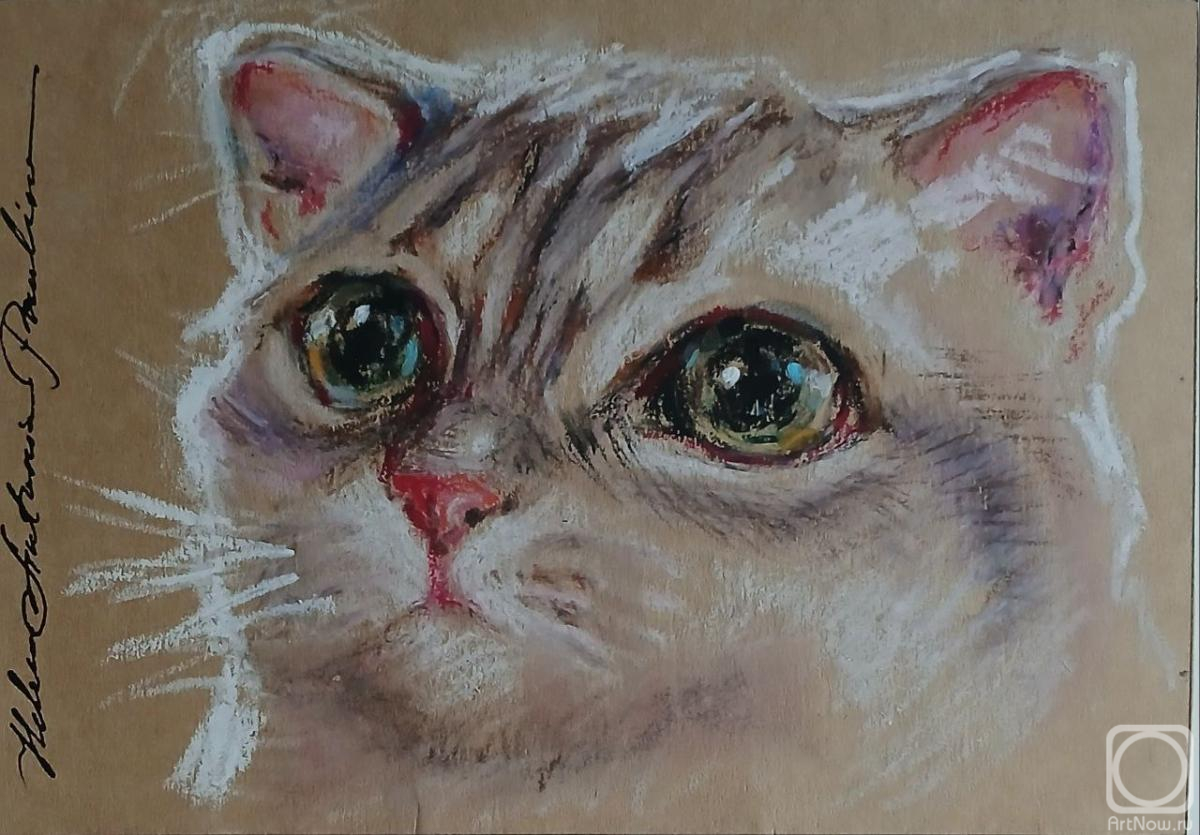 �������. ������ ��������. ��� ����� 7