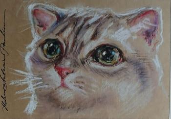 ��� ����� 7. ������ ��������