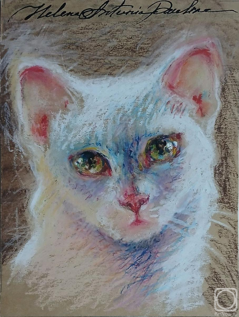 �������. ������ ��������. ��� ����� 6