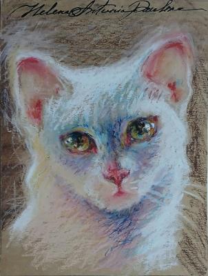 ��� ����� 6. ������ ��������