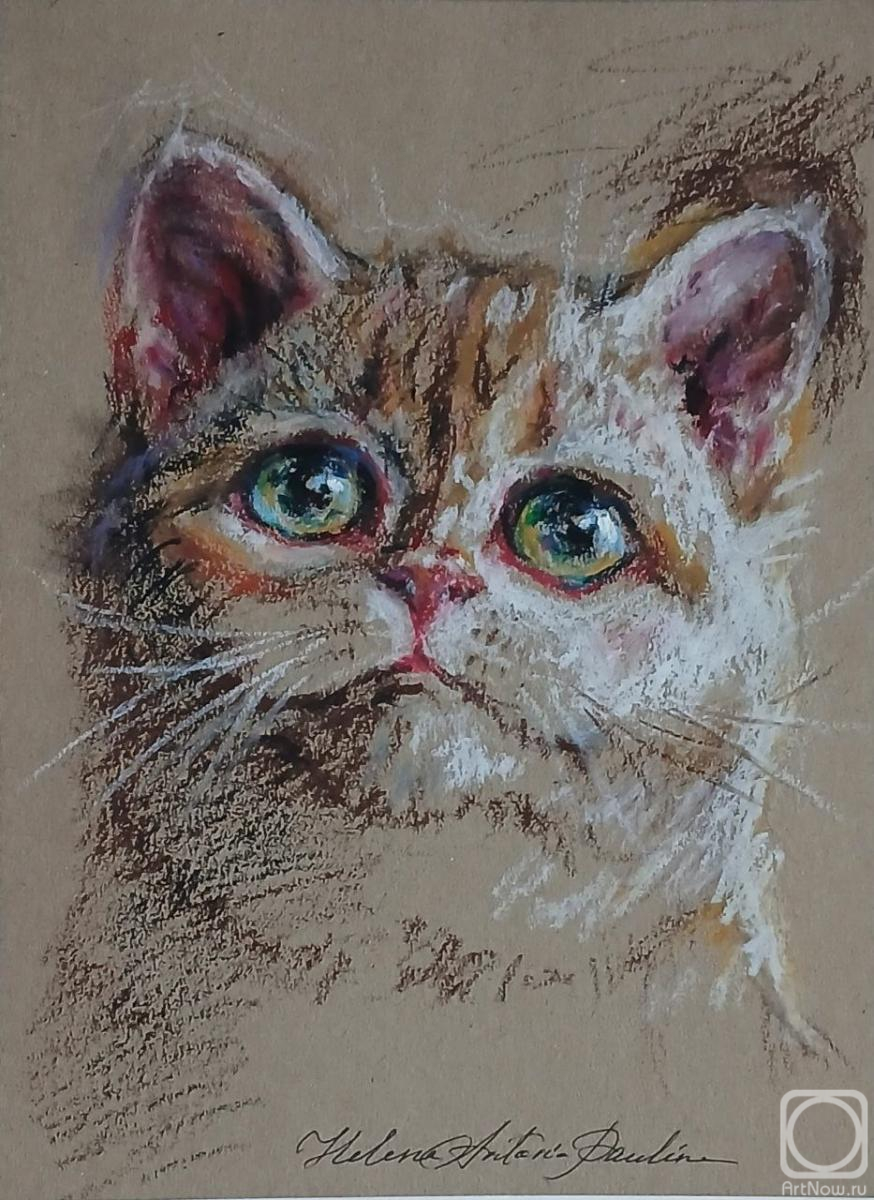 �������. ������ ��������. ��� ����� 9