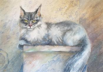 ��� ����-���. �������� �����