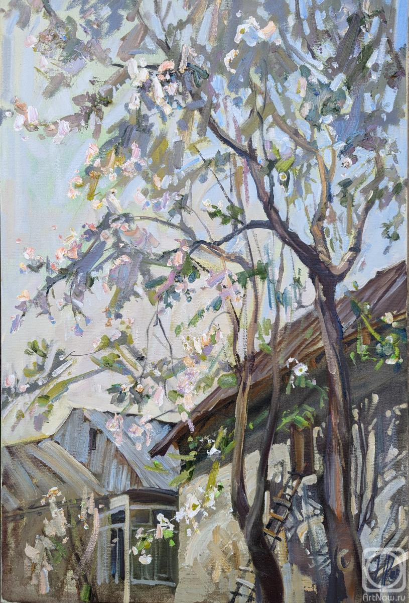 ������� ������ �� ������. ��������� �����. �������� �����