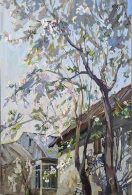 �������� �����. ��������� �����