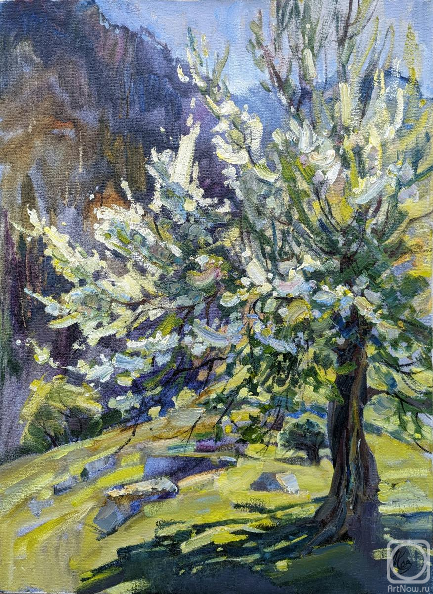 ������� ������ �� ������. ��������� �����. ������ �����