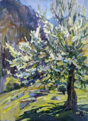 ������ ����� (�������� � �����). ��������� �����