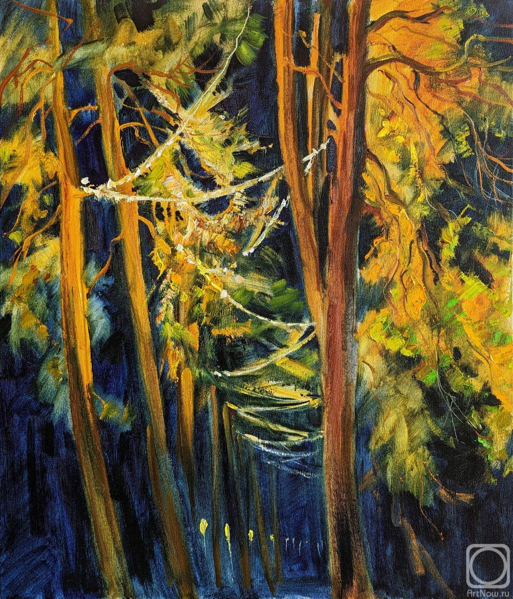 ������� ������ �� ������. ��������� �����. ������ �����