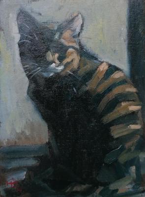 ��������� ��� �� ����. �������� ����