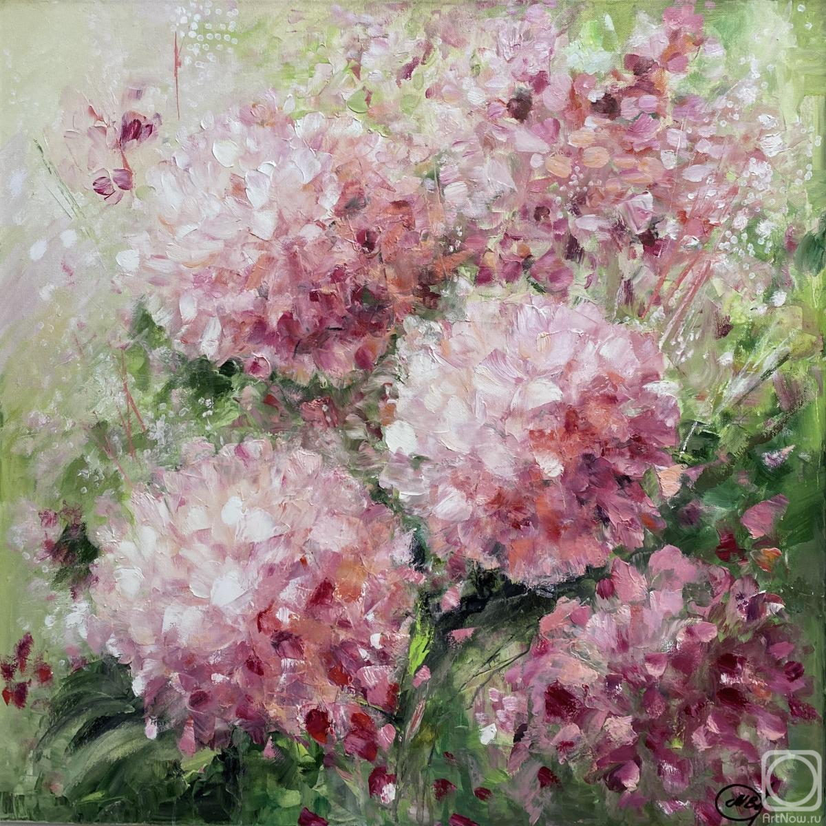 ������� ������ �� ������. ������ ������. ����. ������ ��������