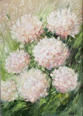 ����� ���������. ������ ������