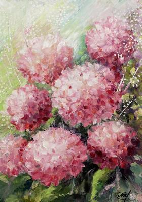 ������� ���������� �������