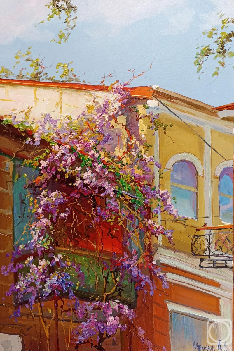 ������� ������ �� ������. ������� ���������. �������� ��� � ����