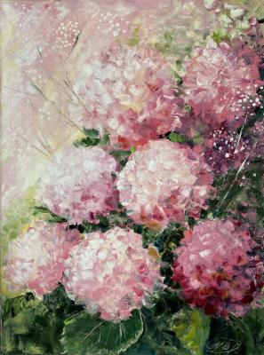 ������� �� �������� ������� ������