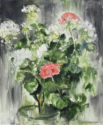 Winter Geranium Blossoms. Orlova Marina