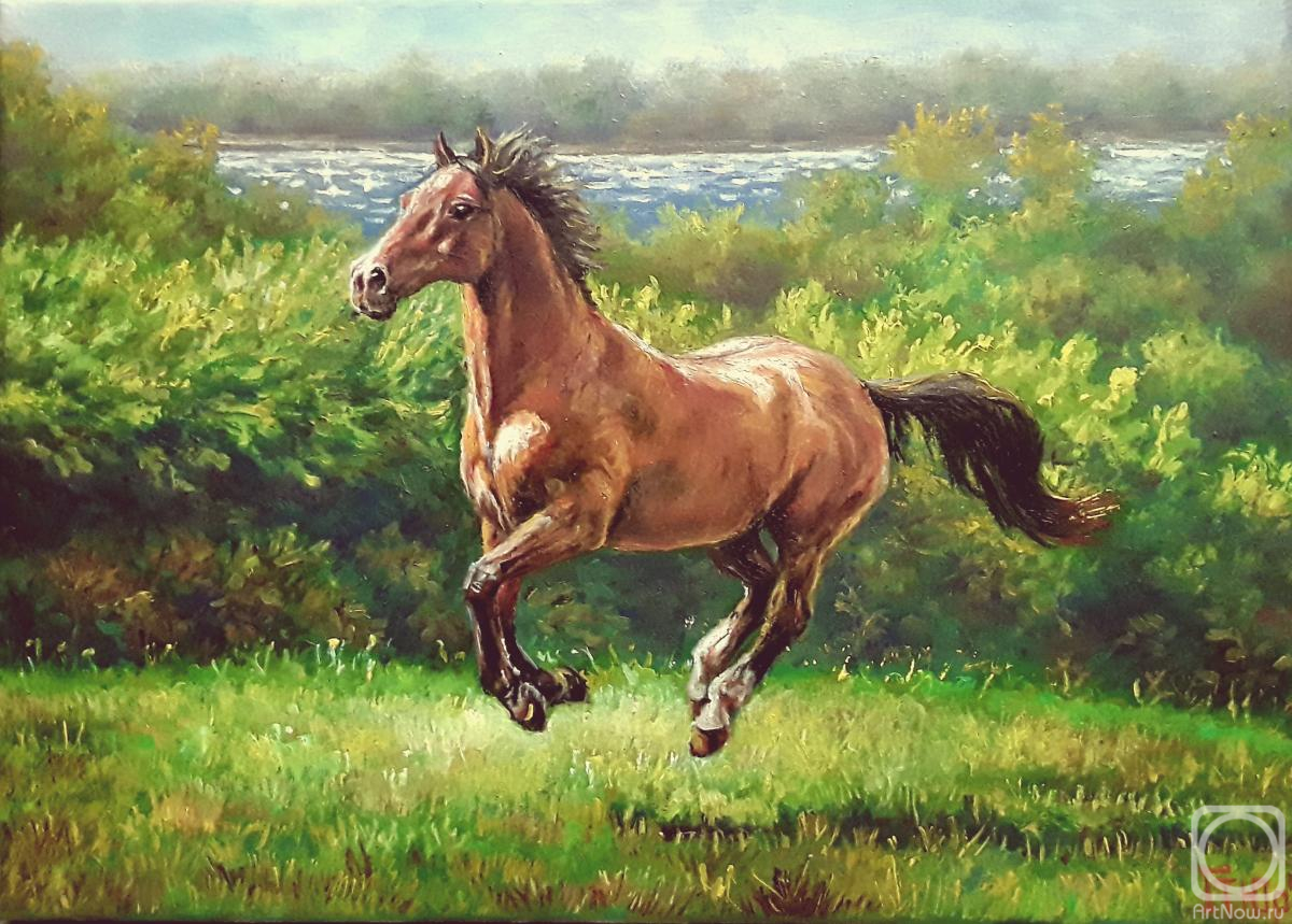 ������� ������ �� ������. ��������� �������. ����� ���� �������� �� ������