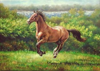 ������� ������ ���� �������� �� ������