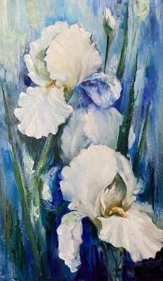 ������� ������ ������