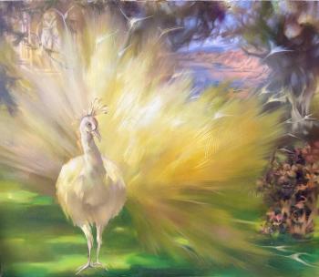 ��������. �������� �����