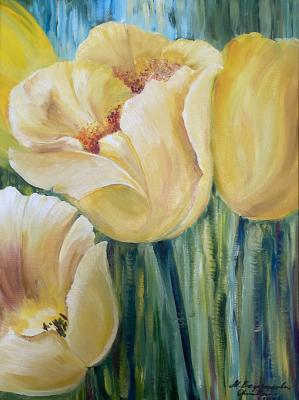 ������ ��������. ������ �����. ������ ������