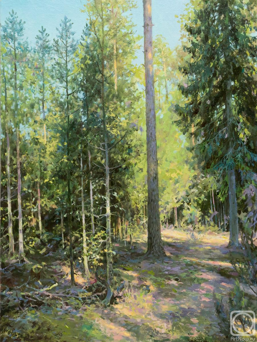 �������. ������� ����. ������ ����