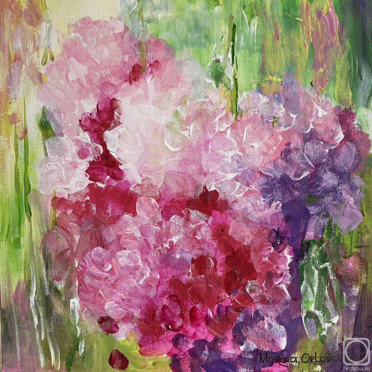 �������. ������ ������. ���������� �����, ������� �������