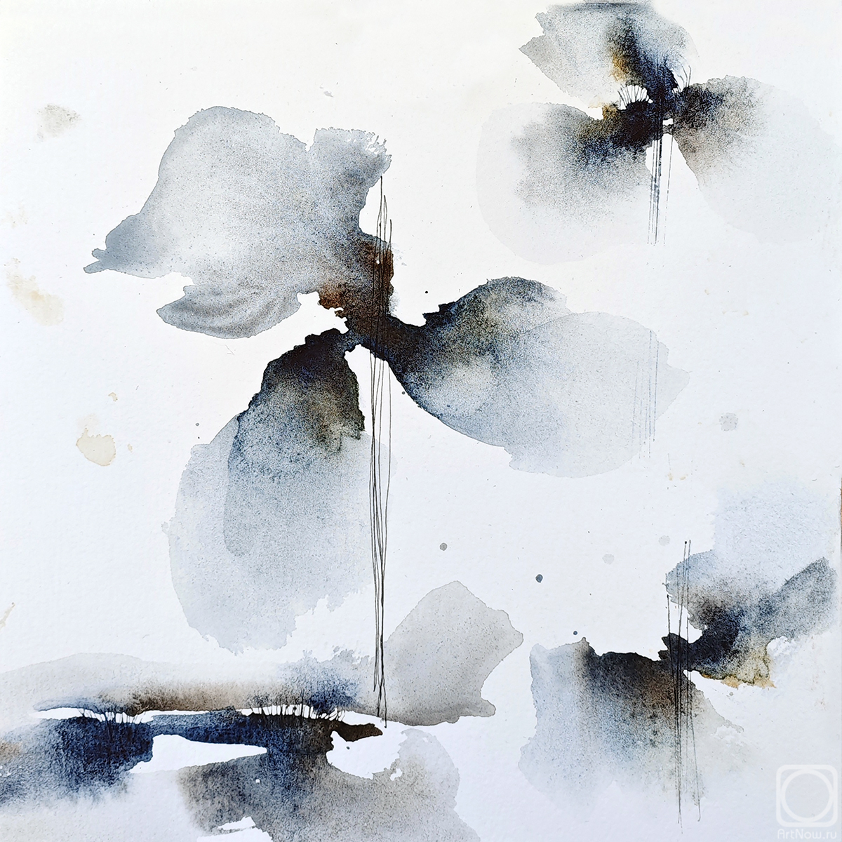 �������. ����������� �������. �������� ���