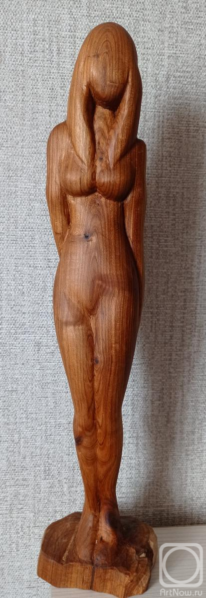 ������� ���������. ��������