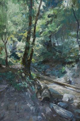 ���� ������. ������� ������