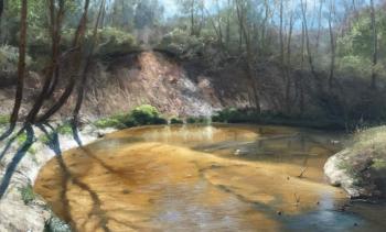 ������� ���������