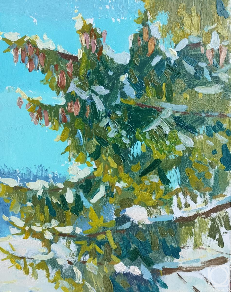 �������. ������� �������. ������ ���