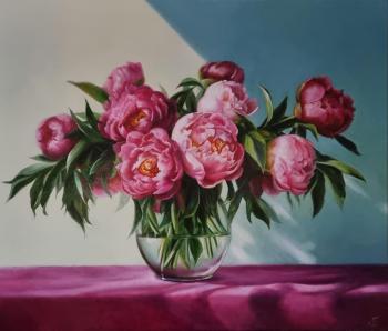 ������ �������