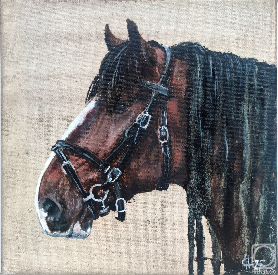 ������� ������ �� ������. ������ �������. ������� ����