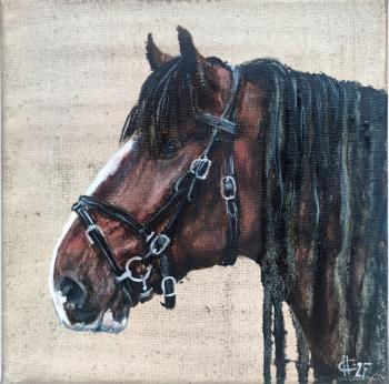 ������� �������� �����