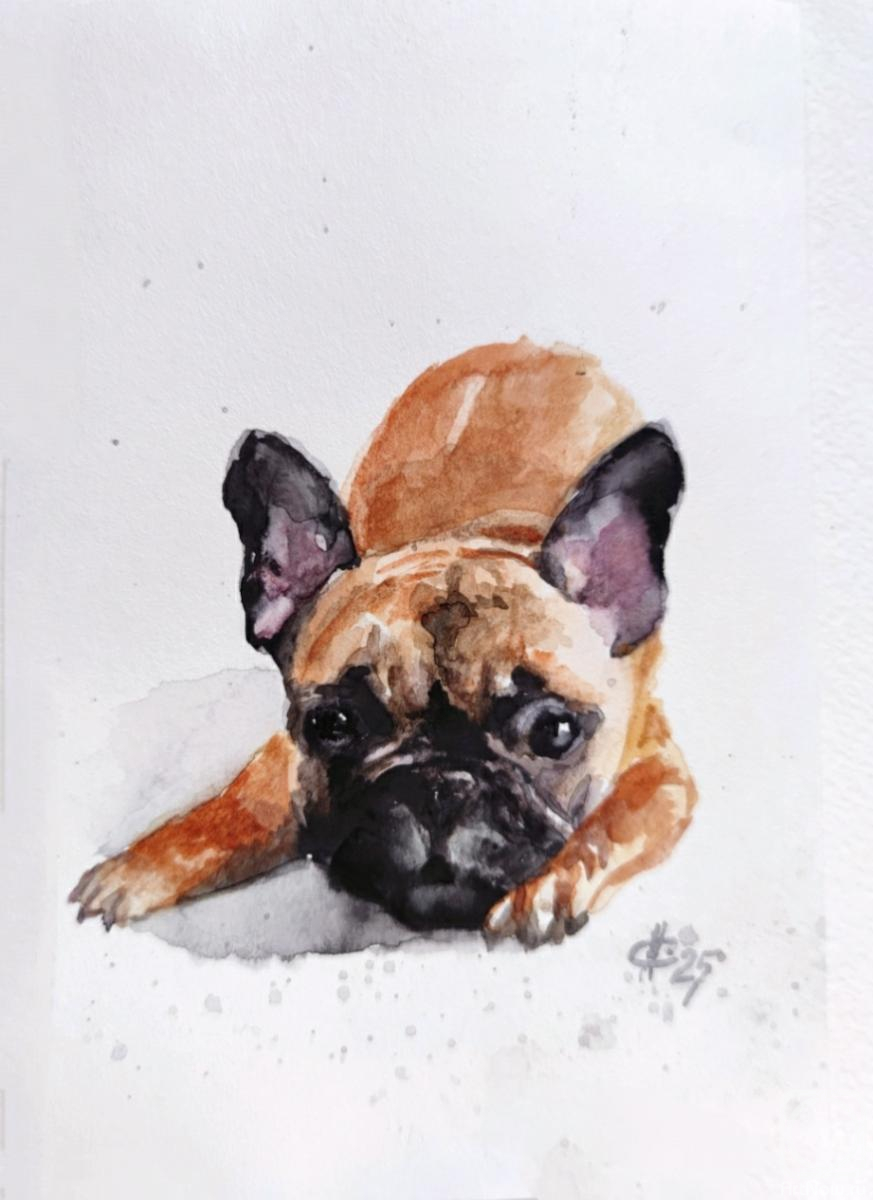 �������. ������ �������. ����������� �������. �����