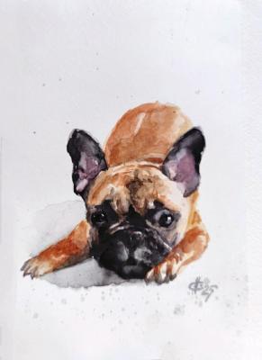 ������ ������� �������������. ����������� �������. �����