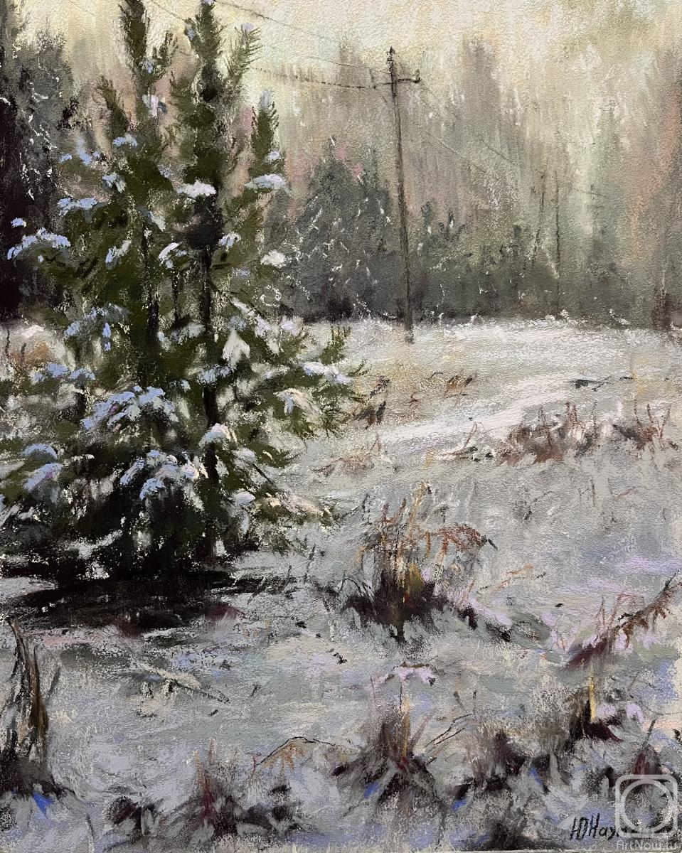 Naumenko Yuliya. Untitled