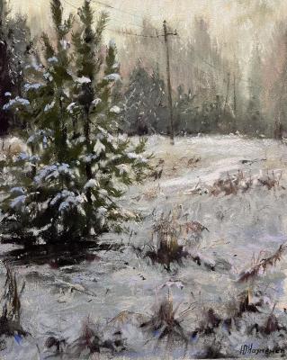 Untitled. Naumenko Yuliya