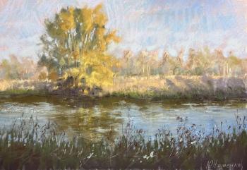 ����� �� ���� ����. �������� ����