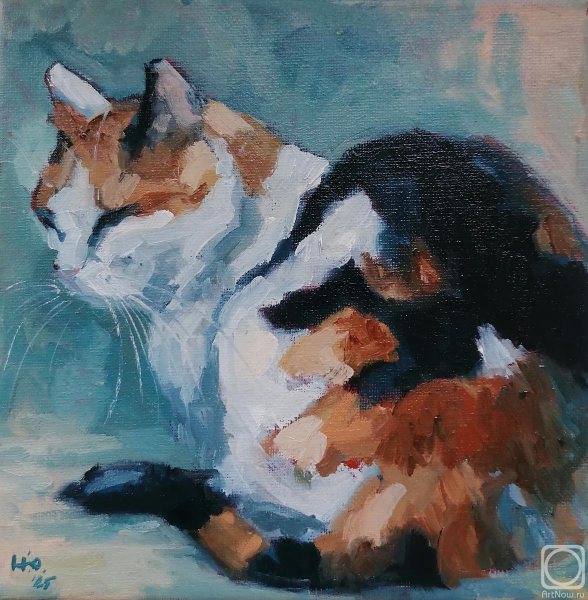 ������� ������ �� ������. �������� ����. ���� � ����������� ������