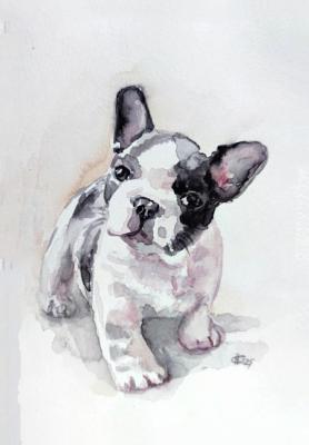 ����������� �������. �����-�����. ������ �������