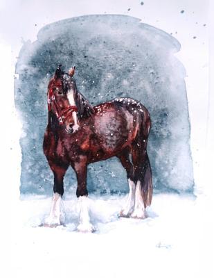 ����. ��� ������. �����������. ������ �������