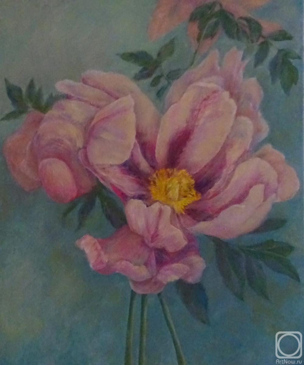 ������� ������ �� ������. �������� ���������. ��������������