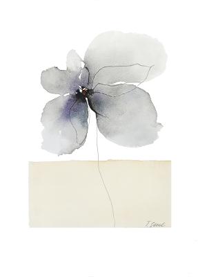 ������������ ���� (�������� �����). ����������� �������