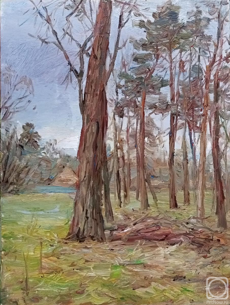 Novikova Marina. Untitled