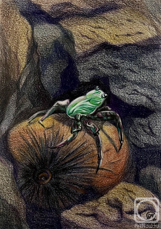 �������. �������� ������. ������. ����