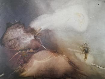 �����. ����� ��������