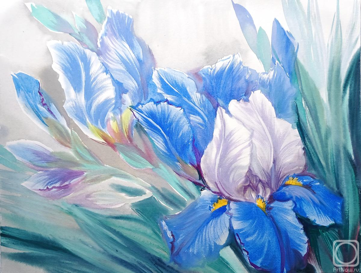 �������. ���������� ���������. ����� ������